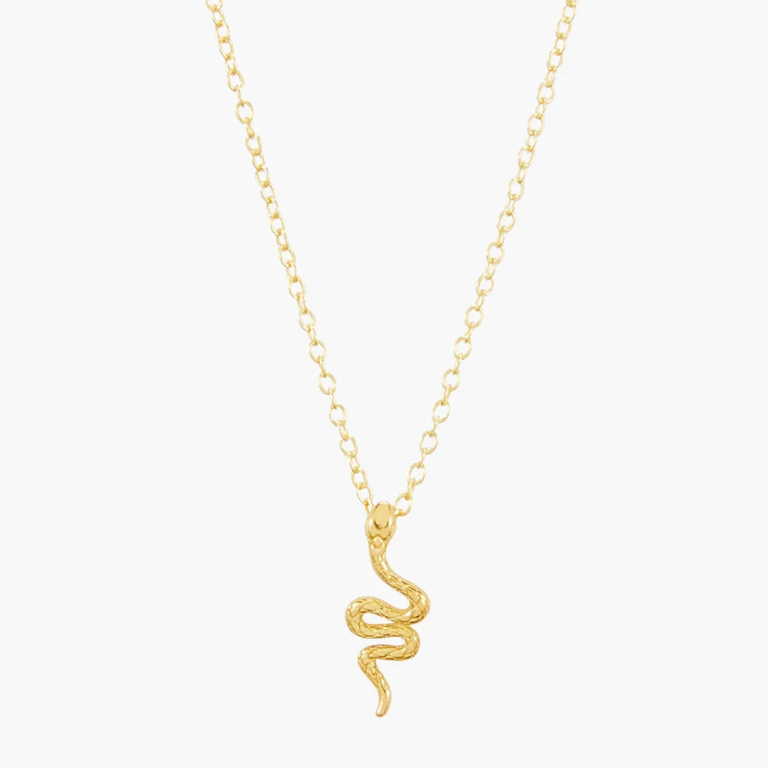 Hot Collier serpent Argent Garanti Colliers | Colliers